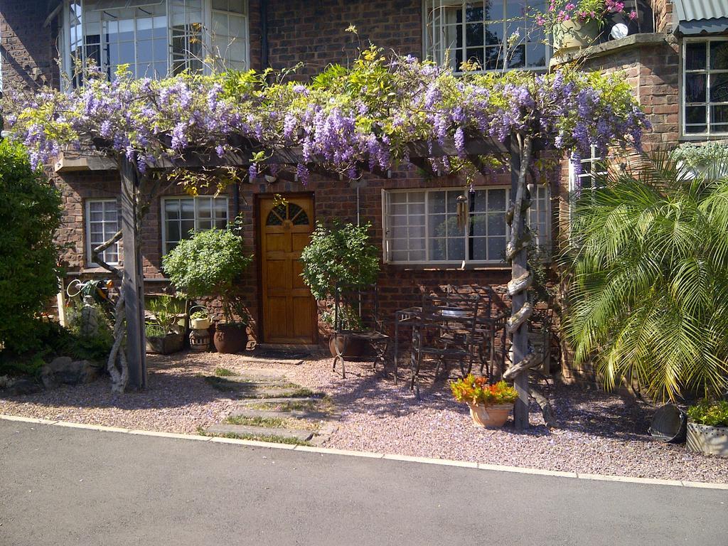 Babbling Brook Bed & Breakfast Питърмарицбург Екстериор снимка