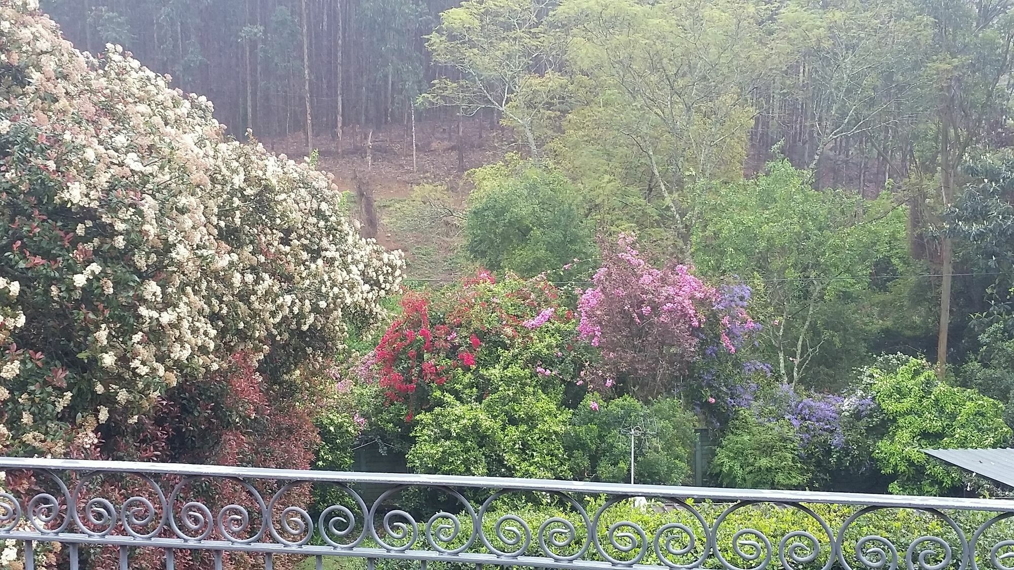 Babbling Brook Bed & Breakfast Питърмарицбург Екстериор снимка